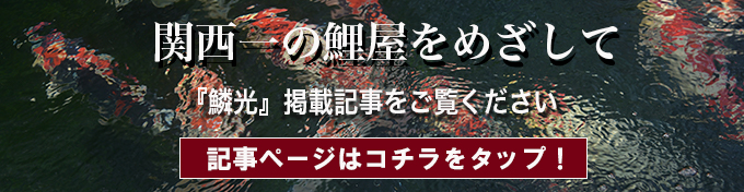 関西一の鯉屋をめざして